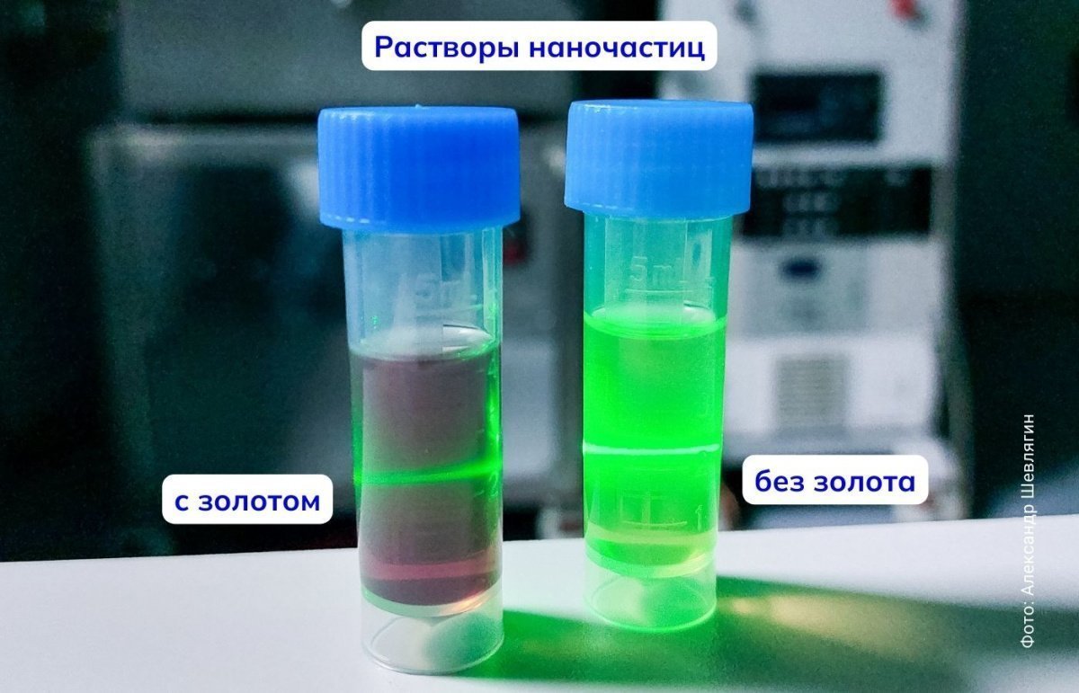 Оптимальные для лечения рака наночастицы из кремния и золота получили во  Владивостоке | Новости науки